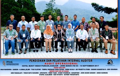 DIKLAT INTERNAL AUDITOR: AUDIT OPERASIONAL